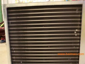 青州新型溫室 多功能大棚助力農業現代化 —— 徐素紅生產廠家詳解