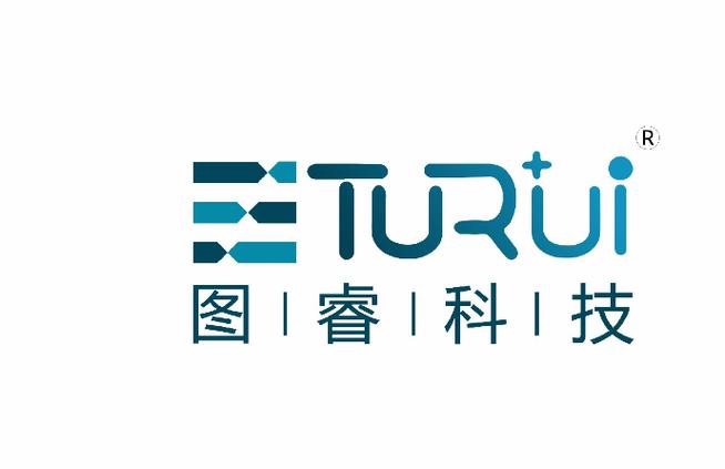 術服務;信息電子技術服務;計算機網絡系統工程服務;信息技術咨詢服務